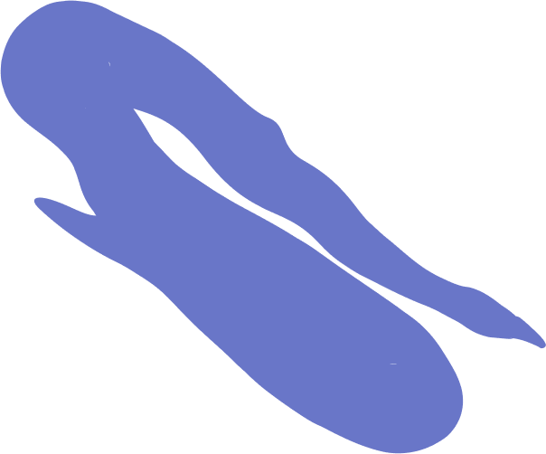 vector